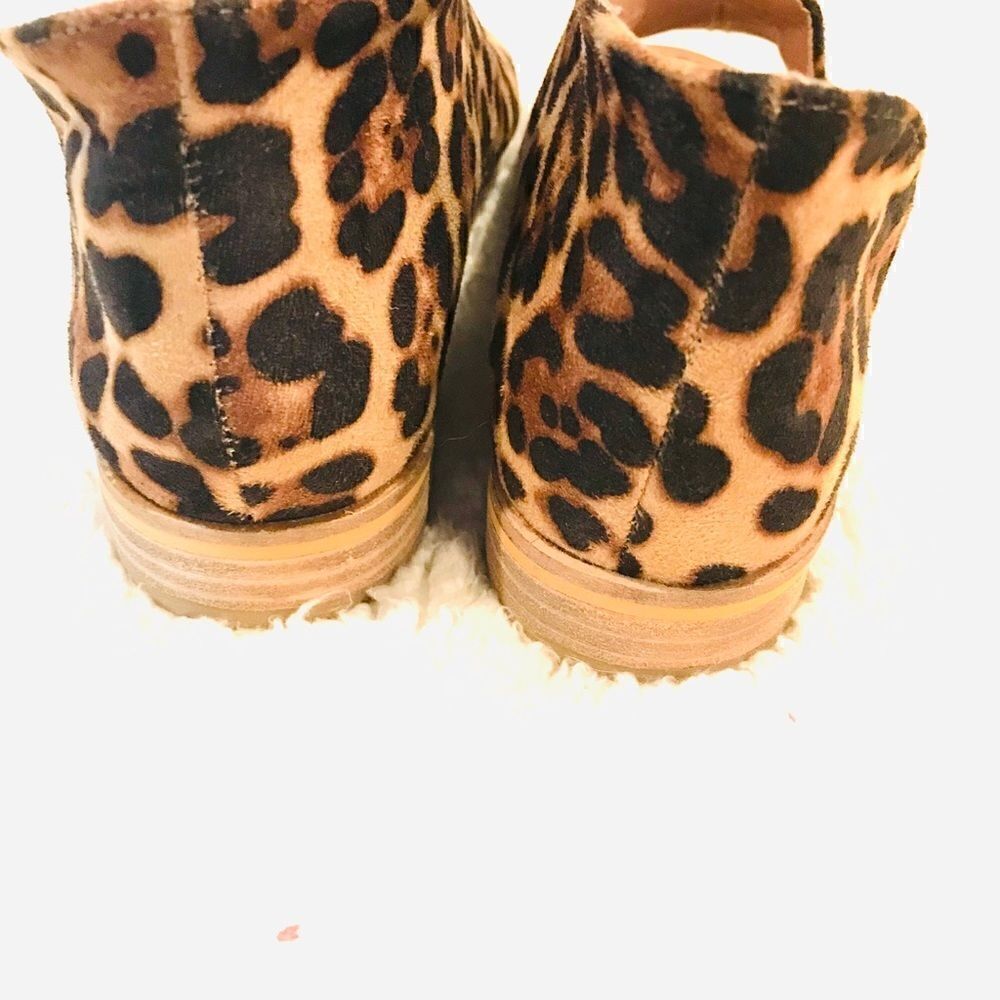 - Ccocci “Adele” Leopardprint Slides Size 5 1/2 - image 4